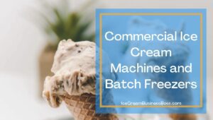 These Are The Equipment Cost For Ice Cream
